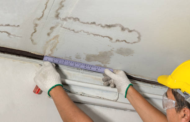 Reliable Structural Drying contractor in Hudson, MI by Water Damage Irwin